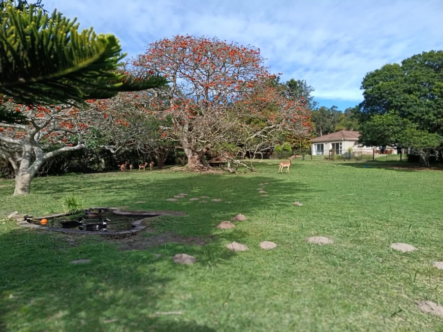 5 Bedroom Property for Sale in Lovemore Heights Estate Eastern Cape